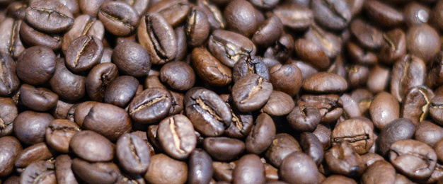 Kaffee­maschinen bei O&M Elektropartner GbR in Waltershausen